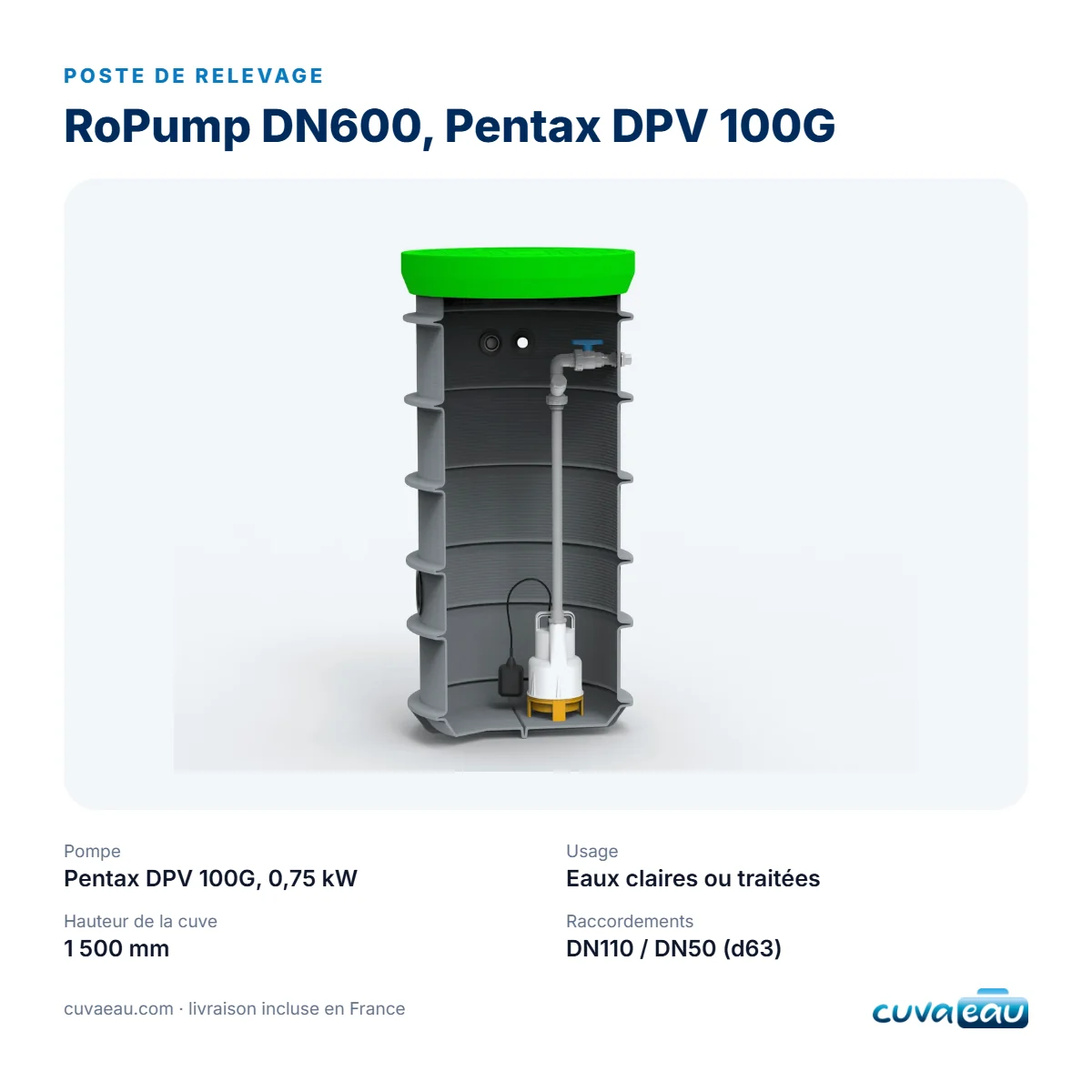 Poste de relevage RoPump Pentax DPV 100G eaux claires, vue 3