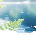 assainissement individuel