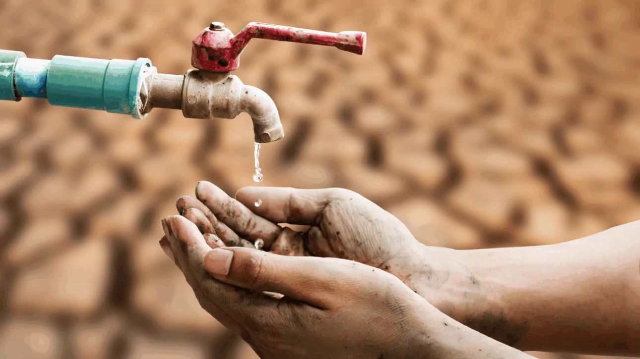 Récupérateur d’eau de pluie : Ne gaspillez plus ce que la nature vous offre
